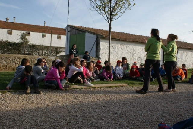 Preparando la actividad